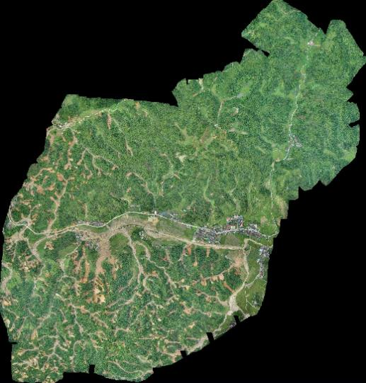 20241009131823.png 彭公廟3.png