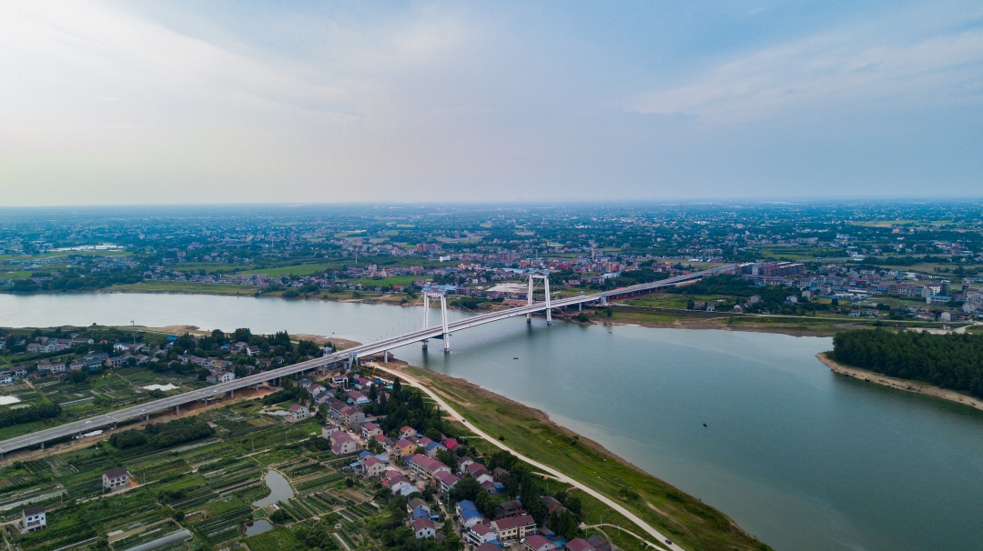 20260202954057.jpg 青龍洲大橋鳥(niǎo)瞰圖2.jpg