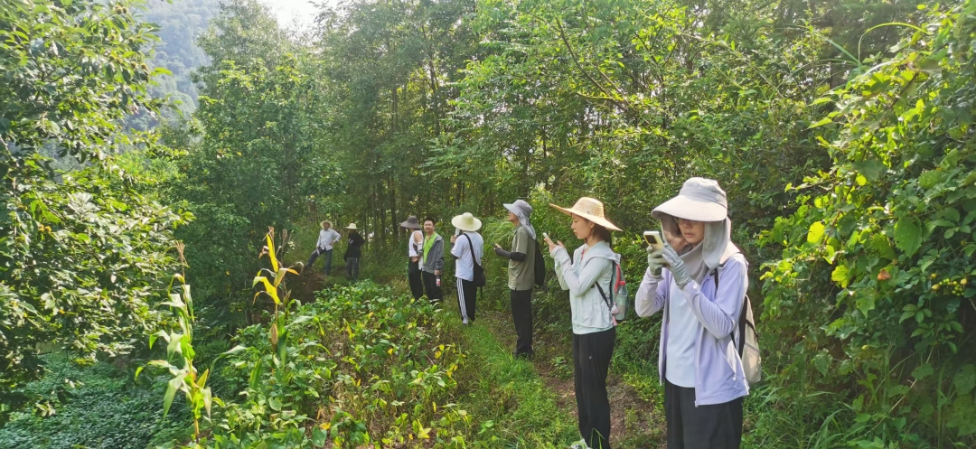 20260309621723.jpg 公路事業部鮑夢捷、彭格菲-辰鳳項目項目外業調查.jpg